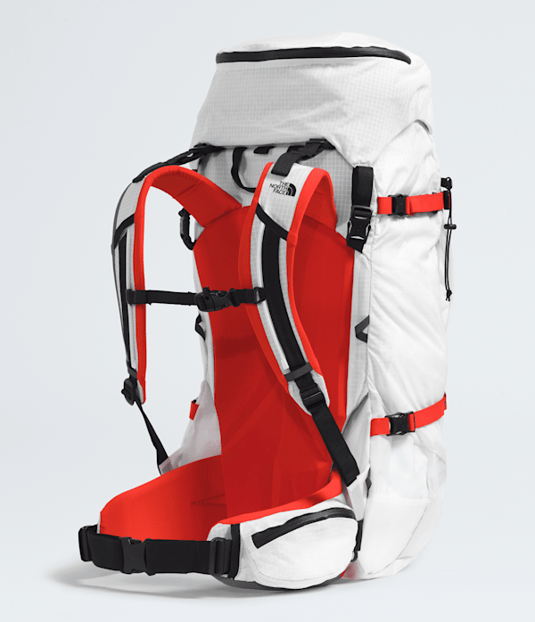 Cobra-65-Backpack-TNF-BACK.png