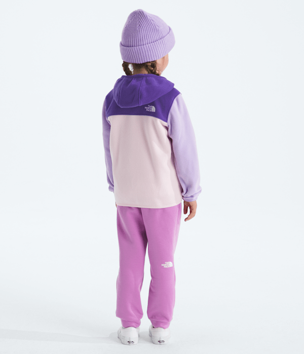Kids-Glacier-FullZip-Hoodie-TNF-BACK.png