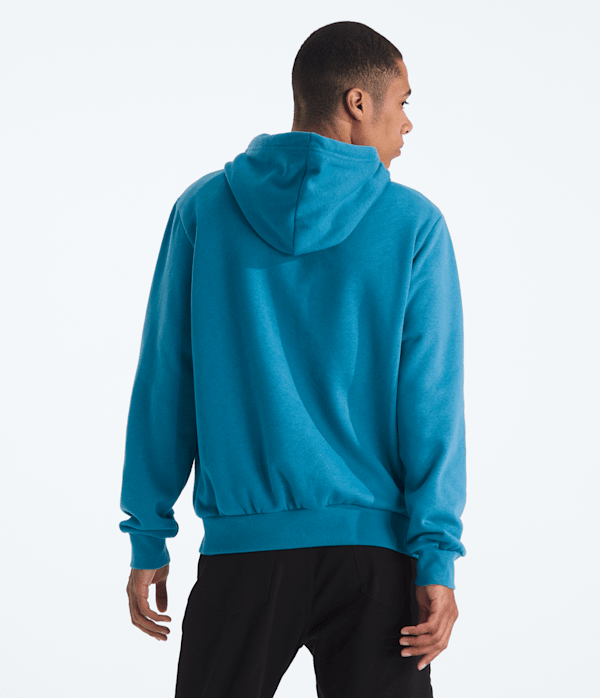 Mens-Evolution-Half-Dome-Regular-Hoodie-TNF-BACK.png